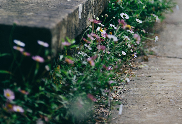 Stairs3